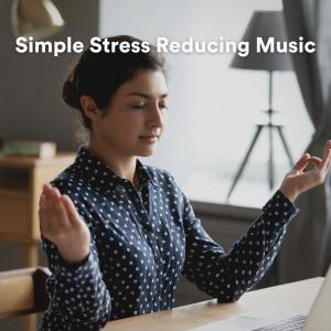 Dengarkan lagu Simple Stress Reducing Music, Pt. 20 nyanyian New Age Music dengan lirik