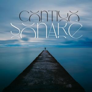 收聽Saldana的Contigo Soñaré歌詞歌曲