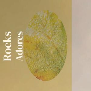 Listen to Rocks Adores song with lyrics from Kender Geci