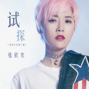 张欣奕的专辑试探 (网络电影《刑凶手札》推广曲)