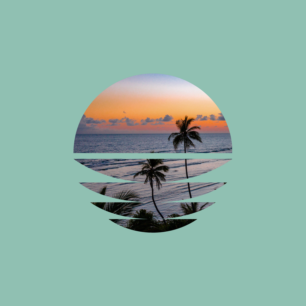 Jungle Coast