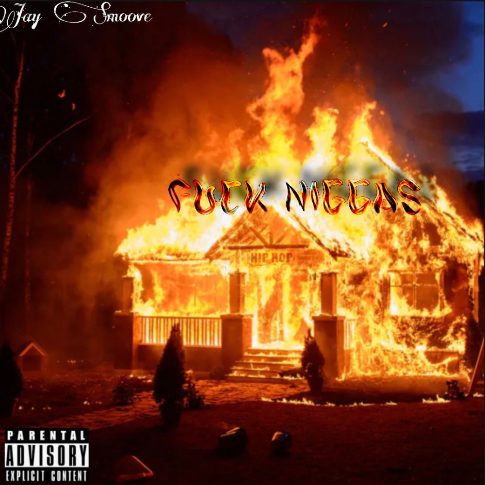 **** niggas (Explicit)