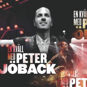 收聽Peter Jöback的The Drugs Don't Work / Mellan en far och en son歌詞歌曲