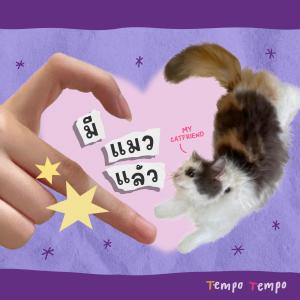 Dengarkan มีแมวแล้ว (My Catfriend) lagu dari TEMPO TEMPO dengan lirik