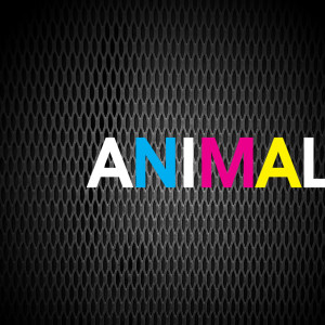 ดาวน์โหลดและฟังเพลง Animal พร้อมเนื้อเพลงจาก 2 In The Bush