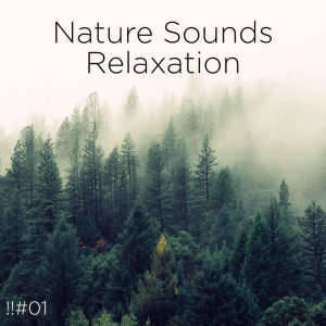 Listen to Spa Water song with lyrics from BodyHI