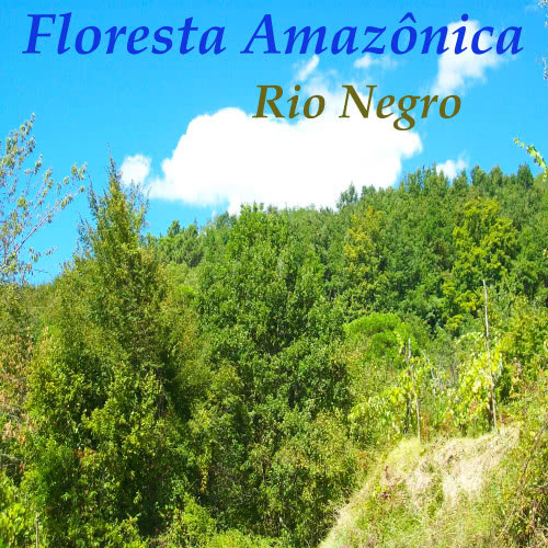Floresta Amazônica