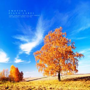 Dengarkan lagu Sorrow nyanyian Jeong Yerin dengan lirik