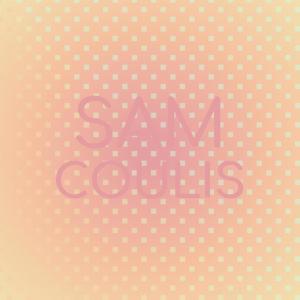 Various的专辑Sam Coulis
