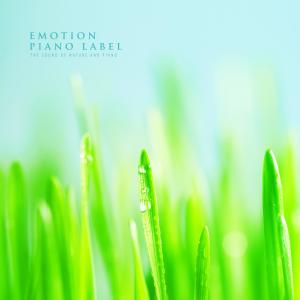 Listen to Snow Flake Nature Version (Nature Ver.) song with lyrics from 송예솔