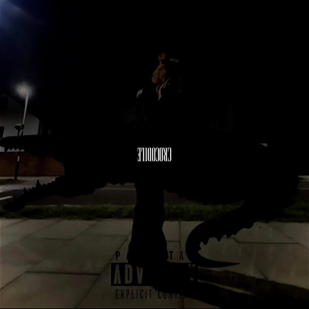CROCODILE (feat. N4T) (Explicit)