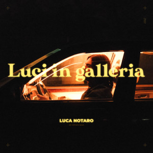 Listen to Luci in galleria song with lyrics from Luca Notaro