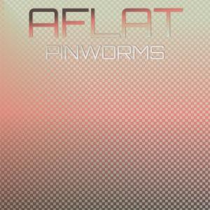 อัลบัม Aflat Pinworms ศิลปิน Various Artists