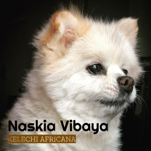 Listen to Naskia Vibaya song with lyrics from Kelechi Africana