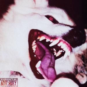 ดาวน์โหลดและฟังเพลง Сука... (Explicit) พร้อมเนื้อเพลงจาก WHY BLACK