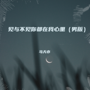 Album 见与不见你都在我心里（男版） from 马天亦