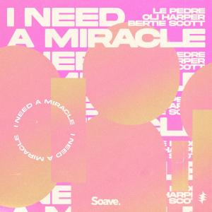 Album I Need a Miracle from Le Pèdre