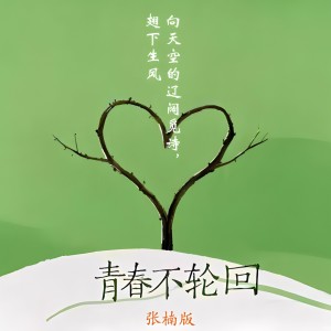 Album 青春不轮回（张楠版） from 辛敏琦
