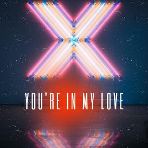 LUIONS的專輯You're In My Love