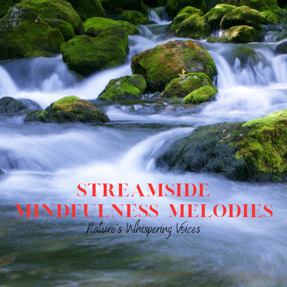 Gentle Streamside Reflections