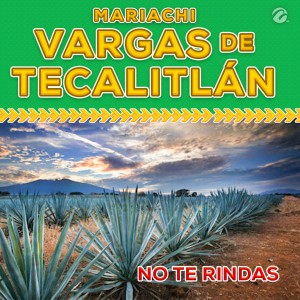 Mariachi Vargas De Tecalitlan的專輯No Te Rindas
