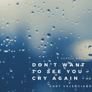 Album Don't Want to See You Cry Again from Jungee Marcelo