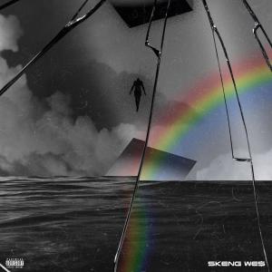 Album 21 (Explicit) from Skeng We$
