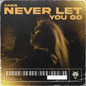 Album Never Let You Go oleh Carib