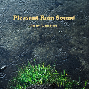 Listen to Pleasant Rain Sound (ASMR, Nature Sound) song with lyrics from J.Roomy