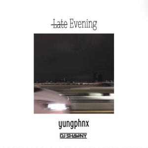 dj Shawny的專輯Late Evening (Explicit)