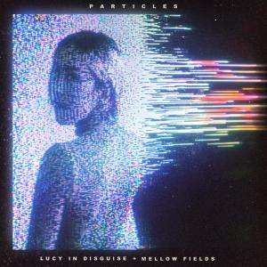收聽Lucy In Disguise的Particles歌詞歌曲
