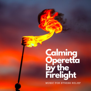 Album Calming Operetta by the Firelight: Music for Stress Relief from Some Music
