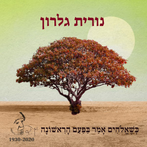 Album כשאלוהים אמר בפעם הראשונה from נורית גלרון