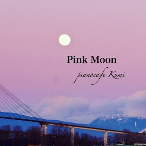 Pink Moon (Acoustic)