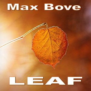 Album Leaf from Max Bove