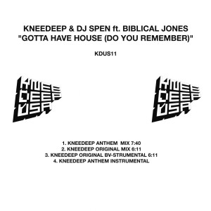Listen to Gotta Have House(Do You Remember) (Knee Deep Anthem Mix) song with lyrics from Knee Deep