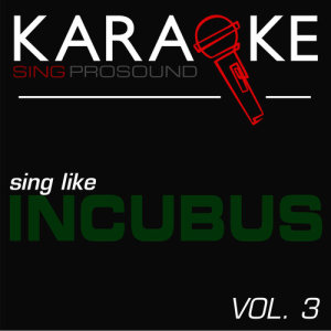 ProSound Karaoke Band的專輯Karaoke in the Style of Incubus, Vol. 3