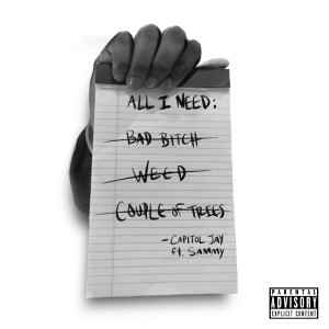 Listen to All I Need (Explicit) song with lyrics from Capitol Jay