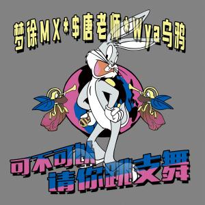 Album 可不可以请你跳支舞 from 梦徐MX