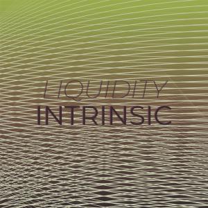 收听Edri Reice的Liquidity Intrinsic歌词歌曲