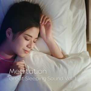 Binaural Music: Great Sleeping Sound Vol. 1