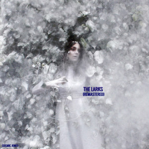Dengarkan Marlboro Reds (Remastered) [Bonus Track] (Remastered|Bonus Track) lagu dari Cosmic Jones dengan lirik