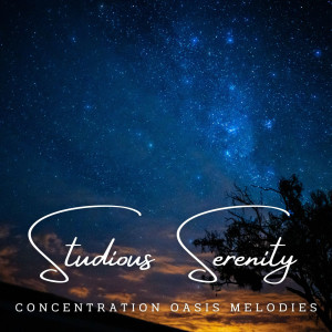 Harpure的專輯Studious Serenity: Meditative Melodies for Deep Learning