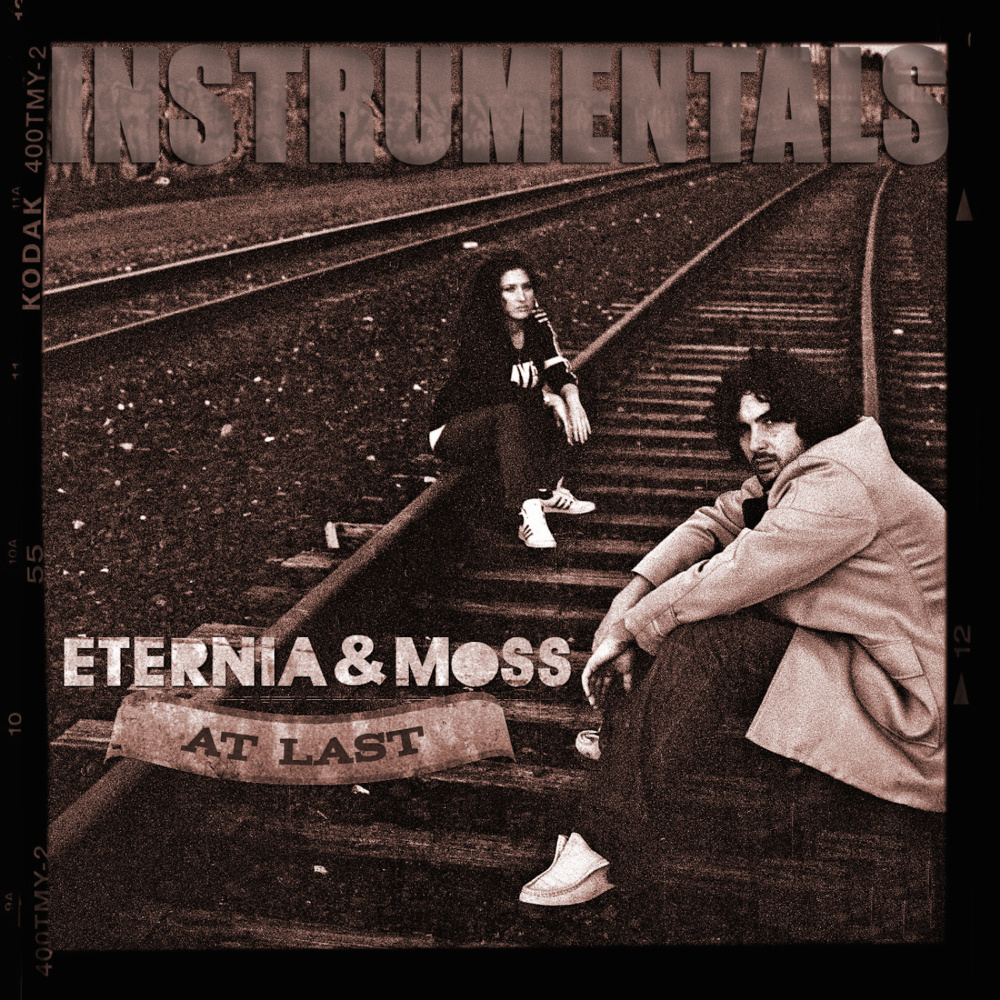 Day in the Life (feat. Tona & Maestro Fresh Wes) (Instrumental)