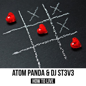DJ St3v3的专辑How to Live