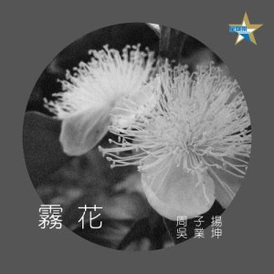 อัลบัม 霧花 ศิลปิน 周子扬