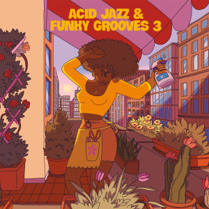 Various的专辑Acid Jazz & Funky Grooves 3