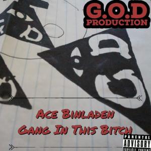 Ace Binladen的專輯Gang in This Bitch (Explicit)