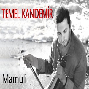 Listen to Horona Gel song with lyrics from Temel Kandemir