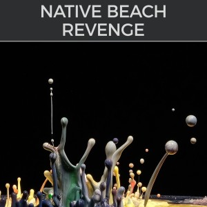 收聽Native Beach的Revenge (D-Soriani House MIx)歌詞歌曲